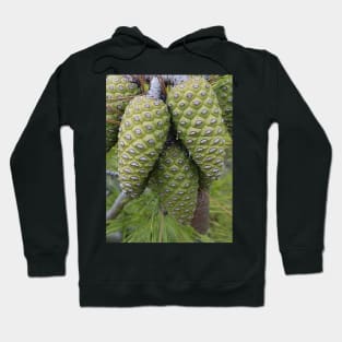 Green Pine Cone Hoodie